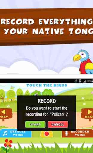 Learn Bird Names - Kids Fun 3
