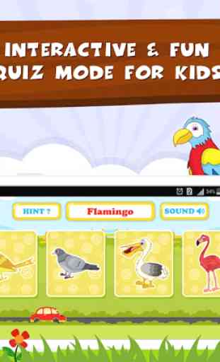 Learn Bird Names - Kids Fun 4