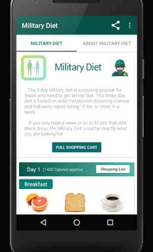 Military Diet 1