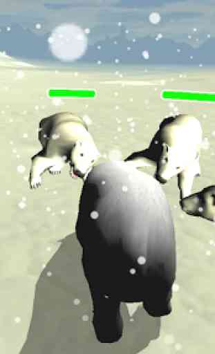 Polar Bear Chase Simulator 3