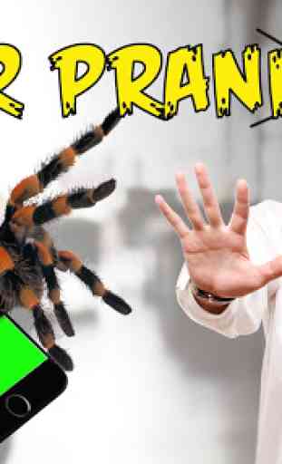Spider 3D AR Prank Halloween 1