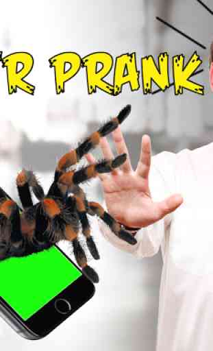 Spider 3D AR Prank Halloween 3