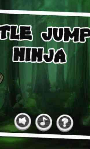 Turtle Jumping Ninja 1