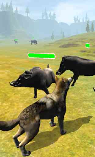 Wolf Chase Simulator 4