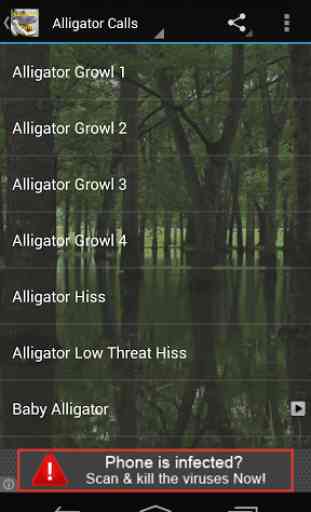 Alligator Calls HD 2
