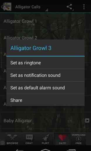 Alligator Calls HD 3