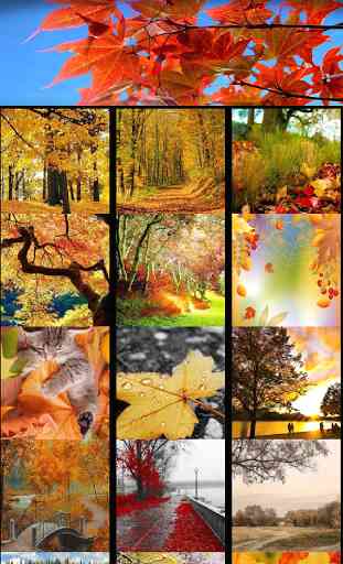 Autumn Wallpapers 2