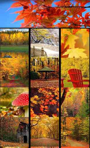 Autumn Wallpapers 3