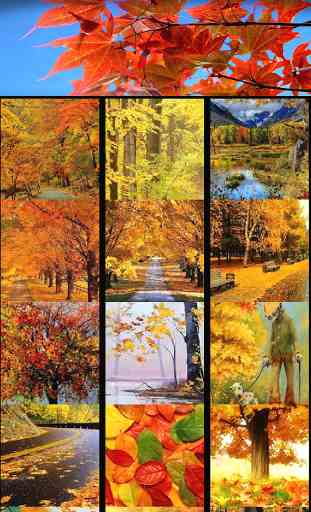 Autumn Wallpapers 4