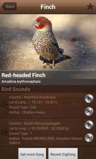 Bird Calls , Songs and Sounds 4