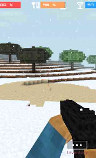 Cube Gun 3D : Winter Craft 1