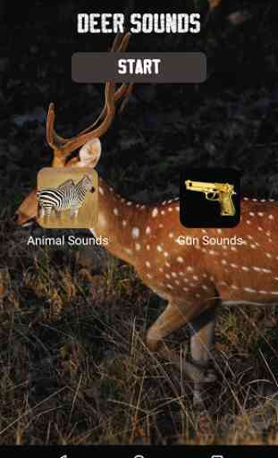 Deer Sounds 4