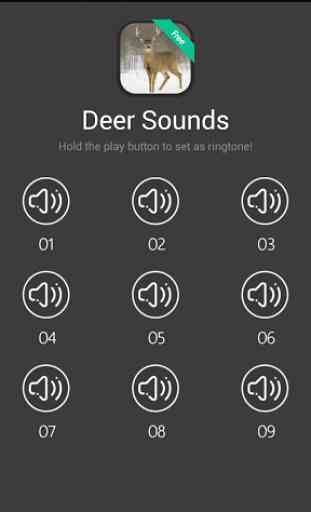 Deer Sounds and Ringtones 1