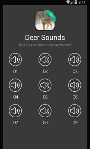 Deer Sounds and Ringtones 3
