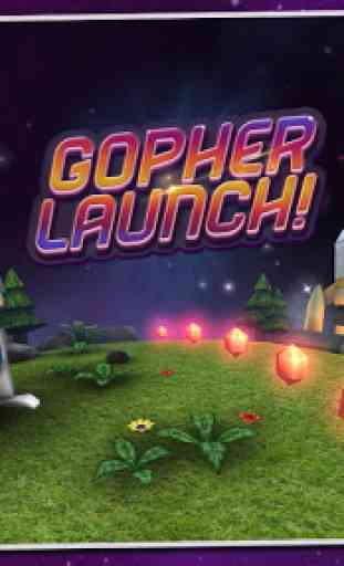 Gopher Launch 1