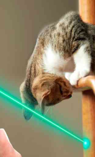 Laser for cat 2. Simulator 2