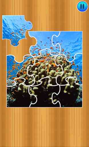 Sea Puzzles 1