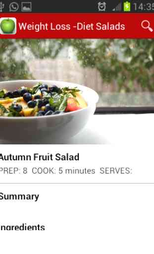 Weight Loss Recipes - Salads 1