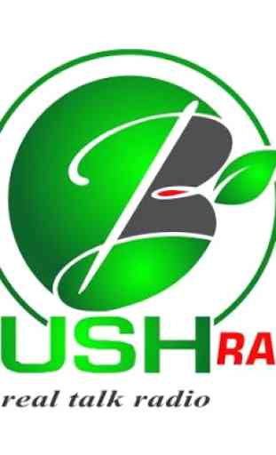 BUSH RADIO 1