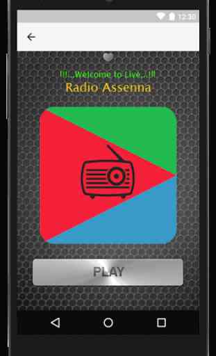 Eritrea Radio 4