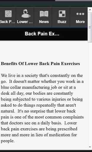 Exercises for Lower Back Pain 2