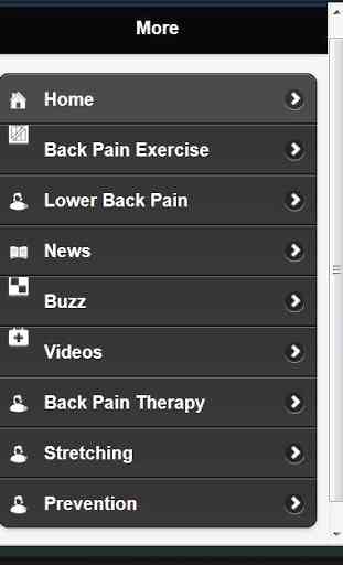 Exercises for Lower Back Pain 4