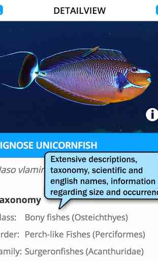 FishFinder - worldwide Fish ID 3