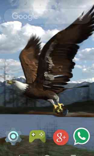 Flying Eagle Live Wallpaper 1