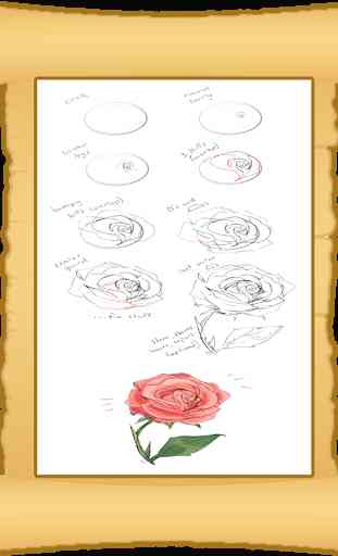 Learn to Draw Flowers 3