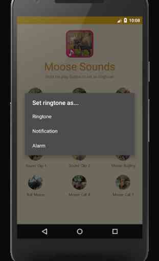 Moose Sounds and Moose Call 2