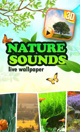 Nature Sounds Live Wallpaper 1