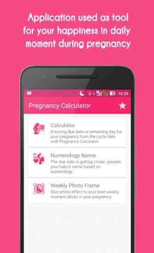 Pregnancy Calculator 1