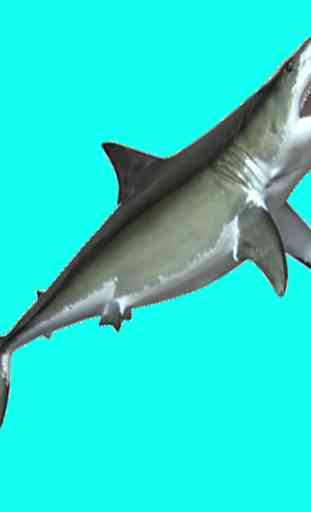 SHARK EATING SHARK-GAME FREE 2