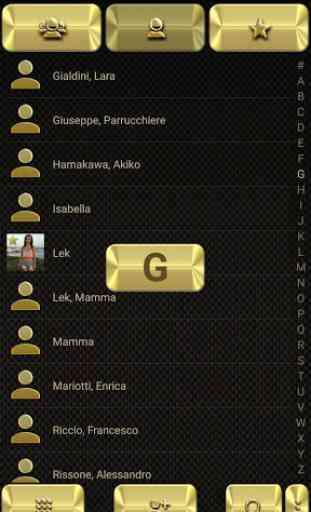 Theme for ExDialer Metal Gold 3