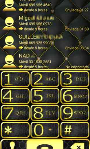 THEME GOLD LEATHER EXDIALER 1