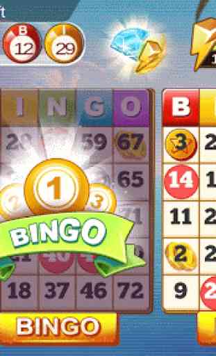 Bingo Lotto 3