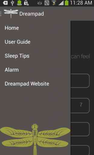 Dreampad Sleep 2