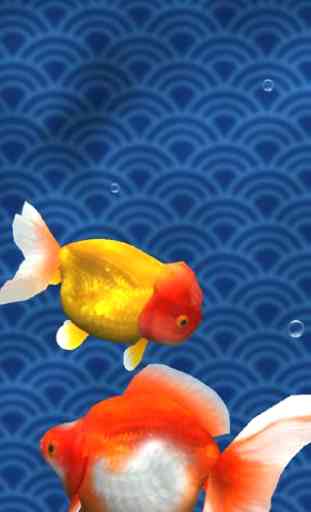 Gold Fish 3D free LWP 1
