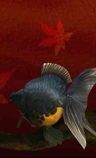 Gold Fish 3D free LWP 4
