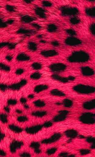 leopard print wallpapers 1