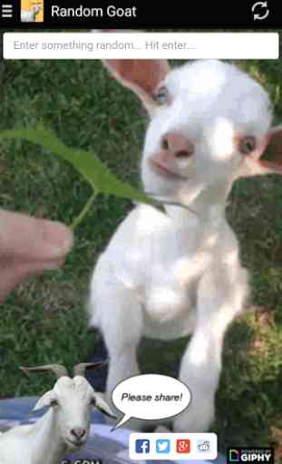 Random Goat 1