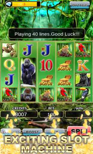 Slot Machine : Wild Gorilla 1