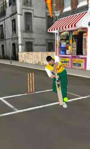 Street Cricket Pro 2