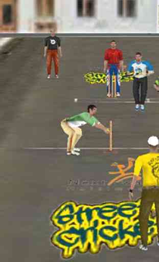 Street Cricket Pro 4