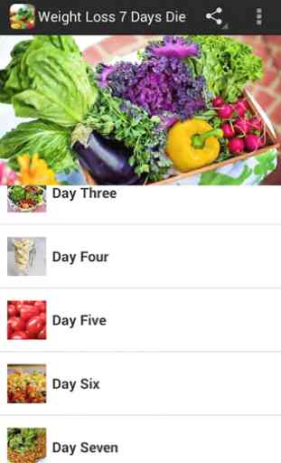 Weight Loss 7 Day Diet Plan 2
