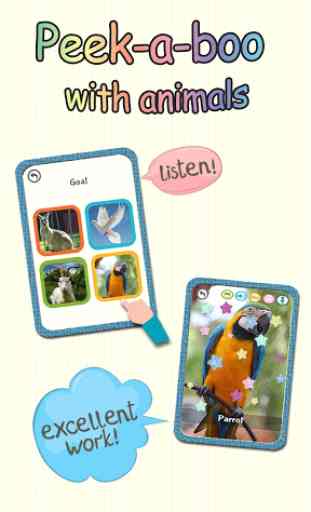 Baby Learning Card - Animal 4