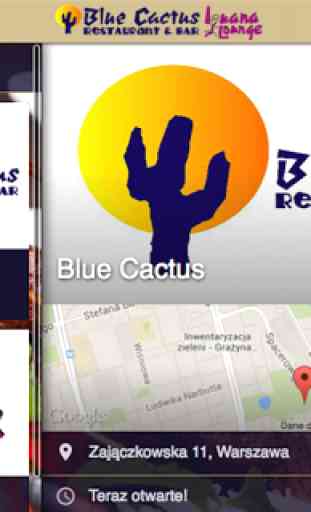 Blue Cactus & Iguana Lounge 3