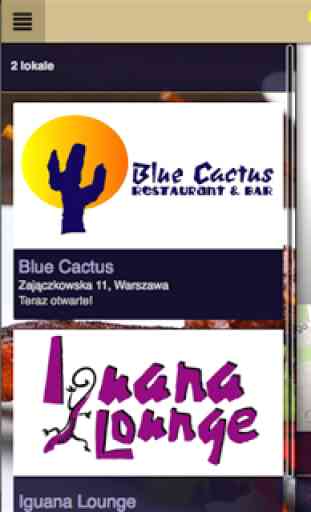 Blue Cactus & Iguana Lounge 4