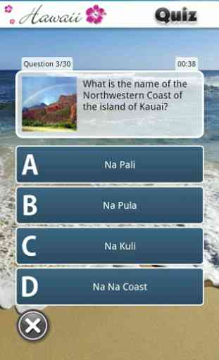 Hawaii Quiz Game 4
