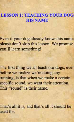 How To Train A Dog Easily 4